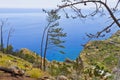 Atlantic Ocean coast on Madeira island, Portugal Royalty Free Stock Photo