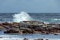 Atlantic ocean coastline by Cape of good hope. Royalty Free Stock Photo