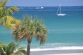 A sailboat glides past the beachfront palm tree along the eastern seaboard Royalty Free Stock Photo