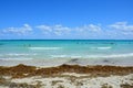 Atlantic Ocean sandy beach with lots of seaweed in Miami Beach