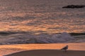 Atlantic Ocean waves crashing ashore onto the beach on the New Jersey Shore Royalty Free Stock Photo