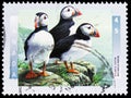 Atlantic Puffin (Fratercula arctica), Birds of Canada (1st series) serie, circa 1996