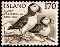 Atlantic Puffin Stamp