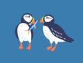 Atlantic puffins flat vector illustration. North fauna, wildlife. Red Book bird. Seafowl with fish in beak. Arctic shore Royalty Free Stock Photo