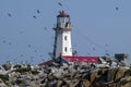 Puffins Fly Around Old Canadian Lighthouse
