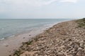 Atlantic rock coast low tide at Saint-Vincent-sur-Jard Vendee france