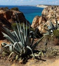 Atlantic rocky sunshiny coastline Algarve, Portugal. Royalty Free Stock Photo