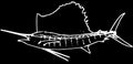 Atlantic sailfish game fishing on black background