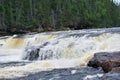 Atlantic salmon jumps waterfall in the wilderness Royalty Free Stock Photo