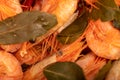 Atlantic shrimp cooked with allspice and bay leaf close-up, surface texture Royalty Free Stock Photo