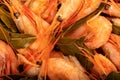 Atlantic shrimp cooked with allspice and bay leaf close-up, surface texture Royalty Free Stock Photo