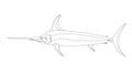 Atlantic swordfish,vector illustration ,lining draw