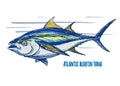 Atlantic tuna