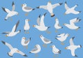 Atlantic white seabird fly at sky. Beach seagull at quay. Sea birds, gull cartoon vector illustration Royalty Free Stock Photo