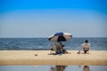 Atlantida beach landscape in Canelones, Uruguay