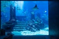 Atlantis Themed Public Aquarium Display with Realistic City Ruin Royalty Free Stock Photo