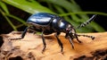 Atlas beetle (Scientific name Chalcosoma atlas) , famous exotic pets. generative ai