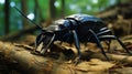 Atlas beetle (Scientific name Chalcosoma atlas) , famous exotic pets. generative ai