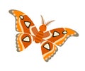 Atlas moth icon vector illustration Royalty Free Stock Photo