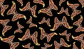 Atlas moth. Ornament from bright tropical Attacus atlas butterflies on black. Abstract pattern of colorful night moths