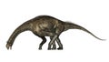 Atlasaurus dinosaur - 3D render Royalty Free Stock Photo