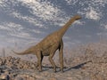 Atlasaurus dinosaur in the desert - 3D render Royalty Free Stock Photo