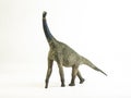 Atlasaurus , dinosaur on white background Royalty Free Stock Photo