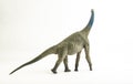 Atlasaurus , dinosaur on white background Royalty Free Stock Photo
