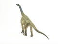 Atlasaurus , dinosaur on white background Royalty Free Stock Photo