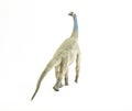 Atlasaurus , dinosaur on white background Royalty Free Stock Photo