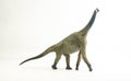 Atlasaurus , dinosaur on white background Royalty Free Stock Photo
