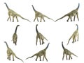 Atlasaurus , dinosaur on white background Royalty Free Stock Photo