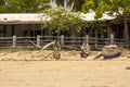 Atmosfera coast of the tourist island of Nosy Be, Madagascar Royalty Free Stock Photo