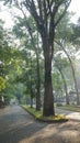 The atmosphere in the Bengkulu city park which is called Teen Park with a shady and beautiful garden