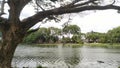 The atmosphere is breezy at Duta Kenaga lake, bekasi, indonesia