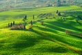 Atmosphere green spring in a landscape of Tuscany, Italy