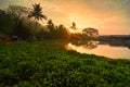 Atmosphere morning on the edge of the lake Jombor, a village that beautiful