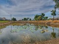 atmosphere, nature, provinces in Thailand