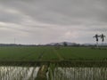 the atmosphere of rice fields surrounded by mountains