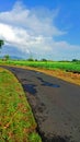 the atmosphere of the road in the middle of beautiful rice fields with charming blue skies