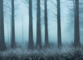 atmospheric abstract paining of a winter forest with trees shrouded in mist and frozen ground.