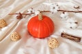 Atmospheric autumn composition. Cozy soft autumn background with pumpkin, cinnamon and cotton flower on soft silk