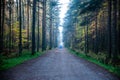 Autumn photo, a man runs along the road, the theme of sports and autumn Royalty Free Stock Photo