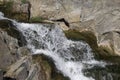 A small waterfall among the stones Royalty Free Stock Photo