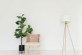 Atmospheric cozy shot of office interior with chair, plant and lamp in minimalistic setting