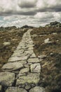 atmospheric and fairy-tale photo of a path