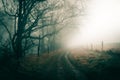 An atmospheric foggy winters day with a path following the edge of woodland, with a desaturated moody edit