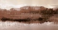 Atmospheric lake tree view in North Yorkshire, England (Gordon Headland Photography) Royalty Free Stock Photo