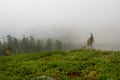 Atmospheric landscape with coniferous trees in low clouds Royalty Free Stock Photo