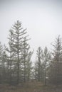 Atmospheric landscape of the Olkhon island under the fog in summer 2015. Lake Baikal, Russian Siberia Royalty Free Stock Photo